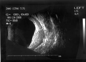 Image2.jpg (11668 �ֽ�)