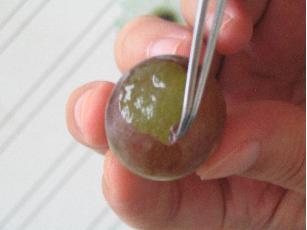 Click to view full 6.jpg (307 X 230)