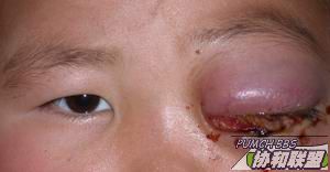 ͼƬ��������´��ڴ򿪲鿴